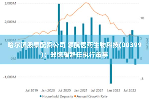 哈尔滨股票配资公司 领航医药生物科技(00399)：郑德耀辞任执行董事