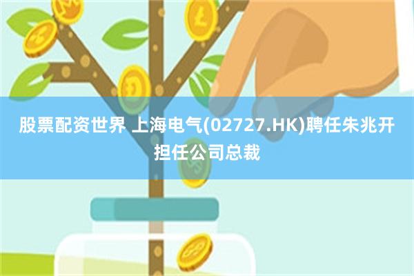 股票配资世界 上海电气(02727.HK)聘任朱兆开担任公司总裁