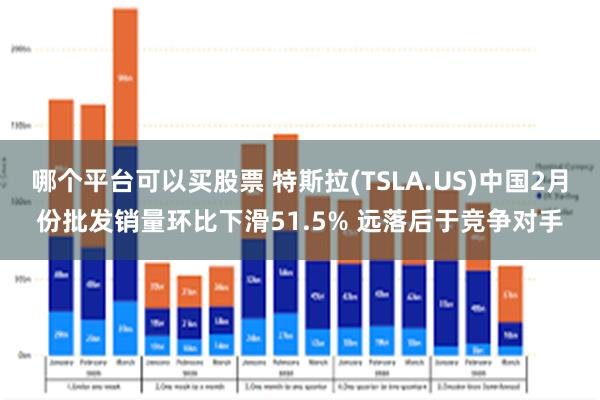 哪个平台可以买股票 特斯拉(TSLA.US)中国2月份批发销量环比下滑51.5% 远落后于竞争对手