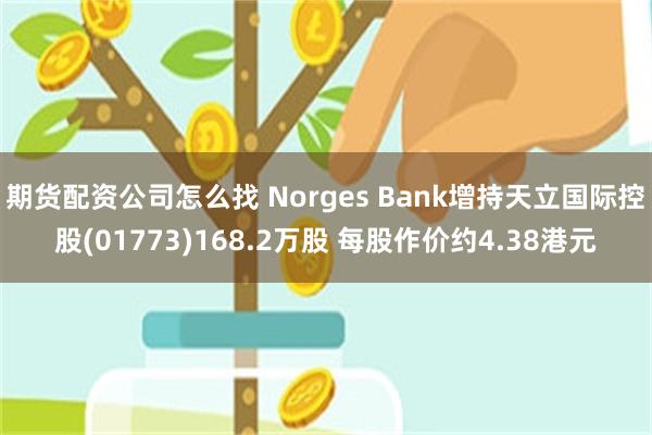 期货配资公司怎么找 Norges Bank增持天立国际控股(01773)168.2万股 每股作价约4.38港元