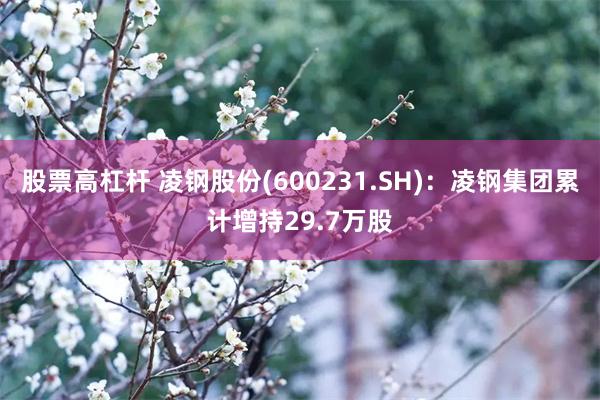 股票高杠杆 凌钢股份(600231.SH)：凌钢集团累计增持29.7万股
