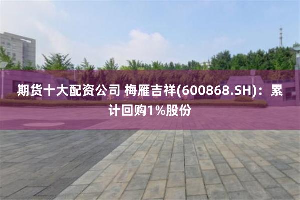 期货十大配资公司 梅雁吉祥(600868.SH)：累计回购1%股份