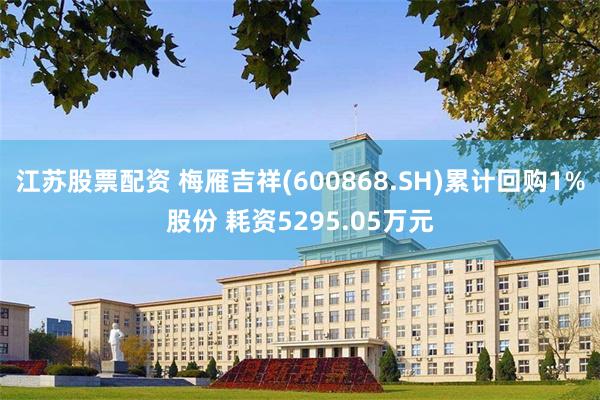 江苏股票配资 梅雁吉祥(600868.SH)累计回购1%股份 耗资5295.05万元