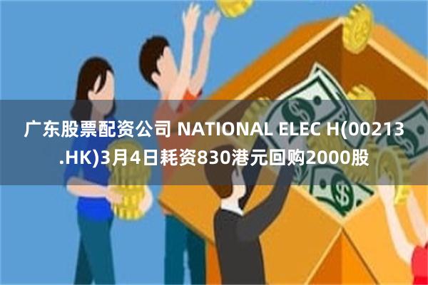 广东股票配资公司 NATIONAL ELEC H(00213.HK)3月4日耗资830港元回购2000股
