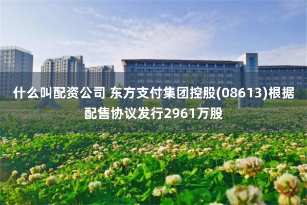 什么叫配资公司 东方支付集团控股(08613)根据配售协议发行2961万股