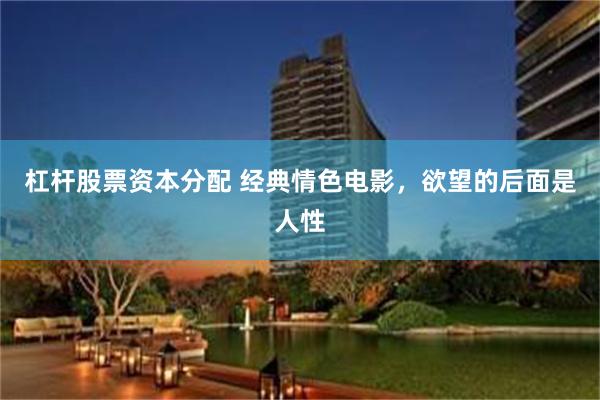 杠杆股票资本分配 经典情色电影，欲望的后面是人性