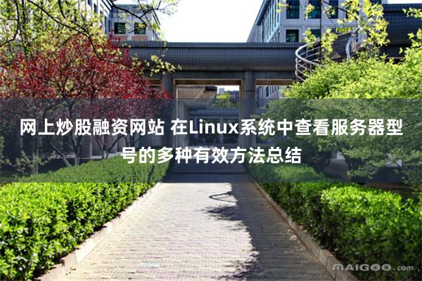 网上炒股融资网站 在Linux系统中查看服务器型号的多种有效方法总结