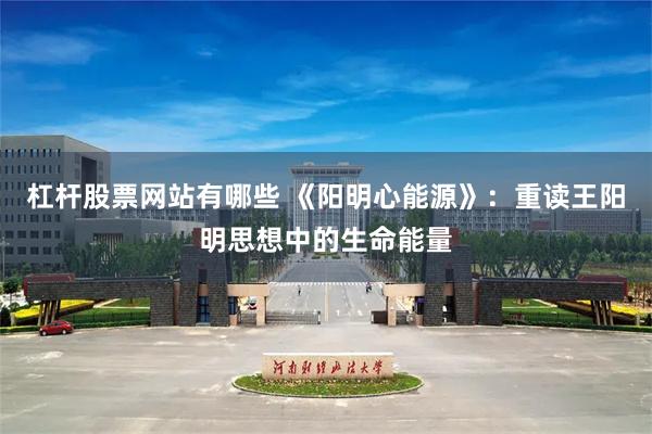 杠杆股票网站有哪些 《阳明心能源》：重读王阳明思想中的生命能量