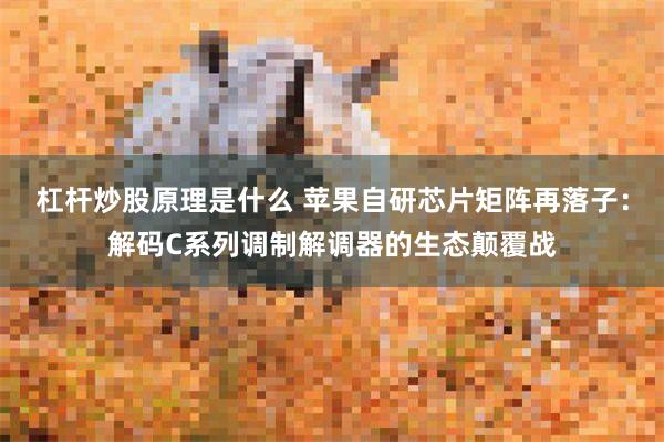 杠杆炒股原理是什么 苹果自研芯片矩阵再落子：解码C系列调制解调器的生态颠覆战