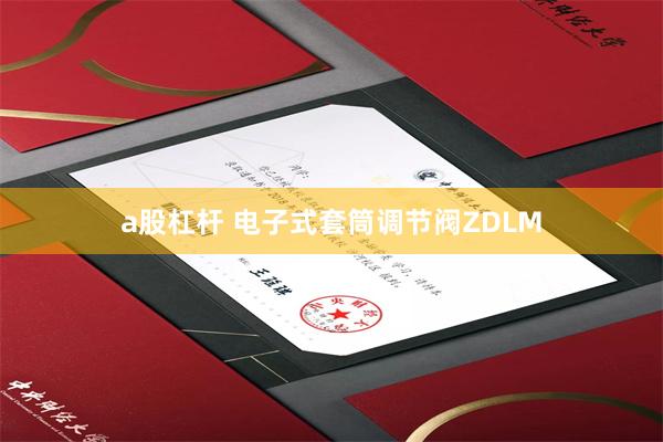 a股杠杆 电子式套筒调节阀ZDLM
