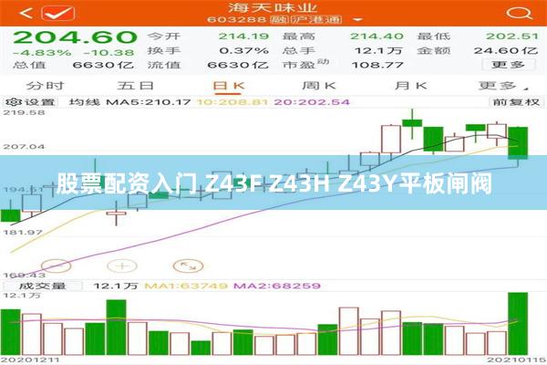 股票配资入门 Z43F Z43H Z43Y平板闸阀