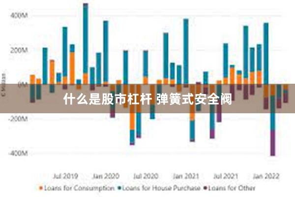 什么是股市杠杆 弹簧式安全阀