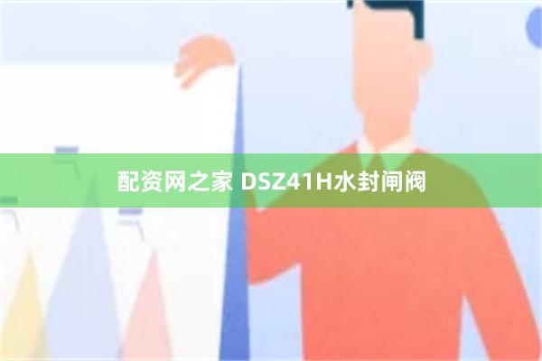 配资网之家 DSZ41H水封闸阀