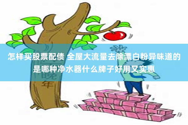 怎样买股票配债 全屋大流量去除漂白粉异味道的是哪种净水器什么牌子好用又实惠