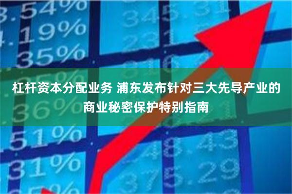 杠杆资本分配业务 浦东发布针对三大先导产业的商业秘密保护特别指南