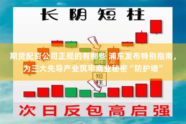 期货配资公司正规的有哪些 浦东发布特别指南，为三大先导产业筑牢商业秘密“防护墙”