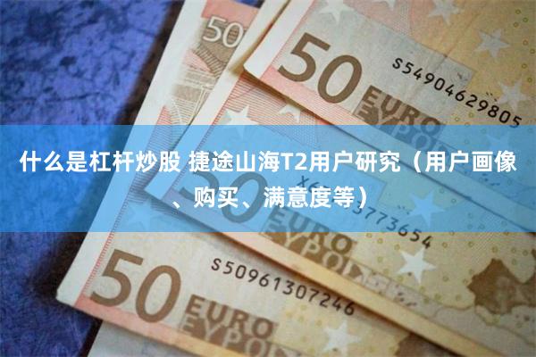 什么是杠杆炒股 捷途山海T2用户研究（用户画像、购买、满意度等）