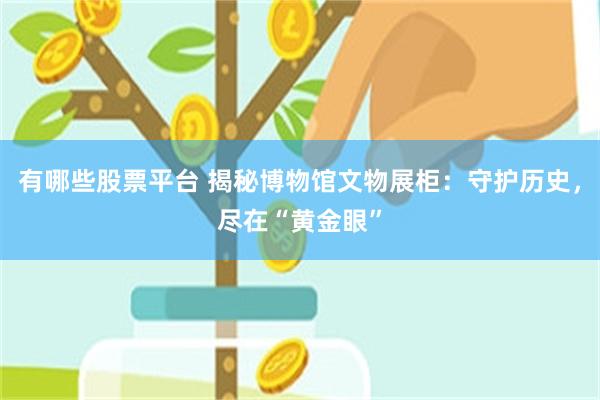 有哪些股票平台 揭秘博物馆文物展柜：守护历史，尽在“黄金眼”