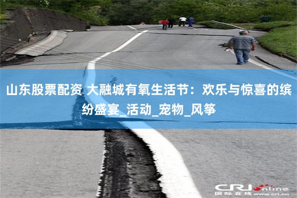山东股票配资 大融城有氧生活节：欢乐与惊喜的缤纷盛宴_活动_宠物_风筝