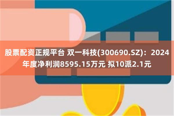 股票配资正规平台 双一科技(300690.SZ)：2024年度净利润8595.15万元 拟10派2.1元