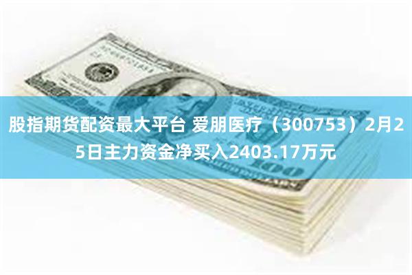 股指期货配资最大平台 爱朋医疗（300753）2月25日主力资金净买入2403.17万元