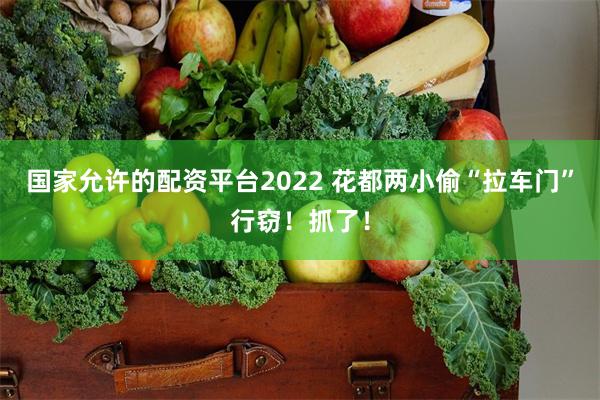 国家允许的配资平台2022 花都两小偷“拉车门”行窃！抓了！