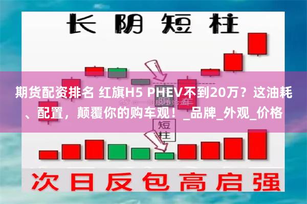 期货配资排名 红旗H5 PHEV不到20万？这油耗、配置，颠覆你的购车观！_品牌_外观_价格