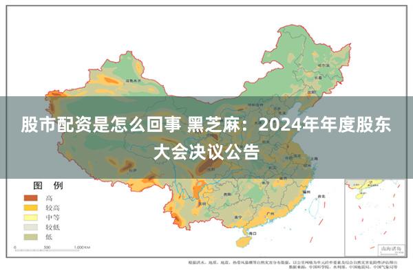 股市配资是怎么回事 黑芝麻：2024年年度股东大会决议公告