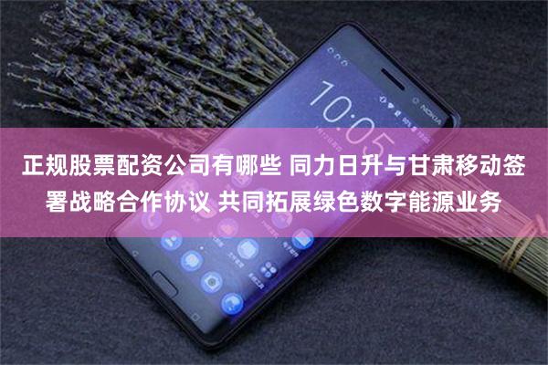正规股票配资公司有哪些 同力日升与甘肃移动签署战略合作协议 共同拓展绿色数字能源业务