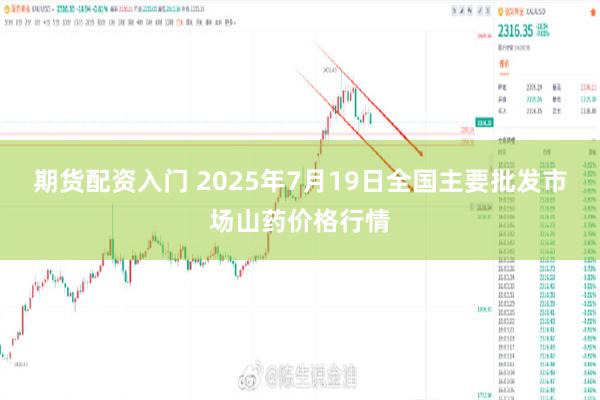 期货配资入门 2025年7月19日全国主要批发市场山药价格行情