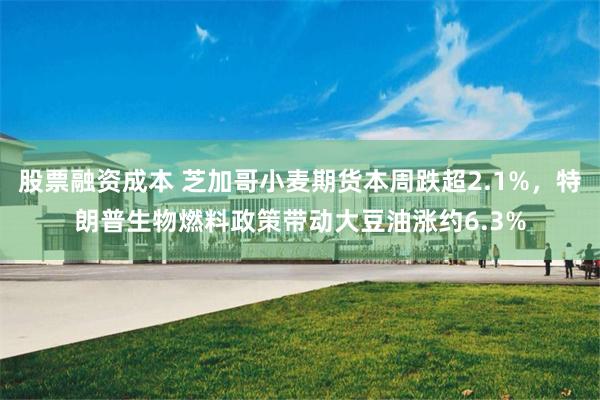股票融资成本 芝加哥小麦期货本周跌超2.1%，特朗普生物燃料政策带动大豆油涨约6.3%