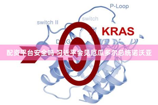 配资平台安全吗 习近平会见厄瓜多尔总统诺沃亚