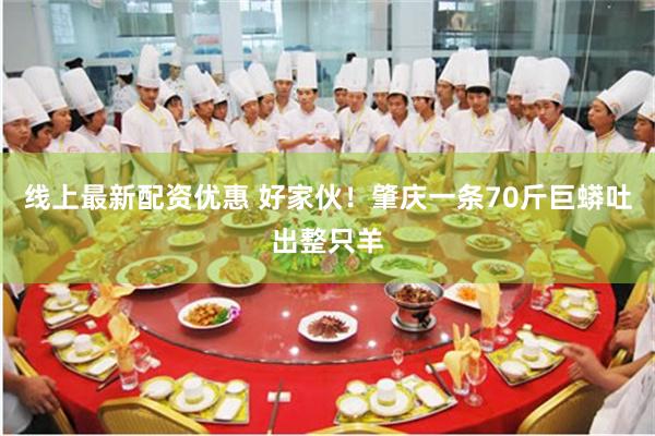 线上最新配资优惠 好家伙！肇庆一条70斤巨蟒吐出整只羊