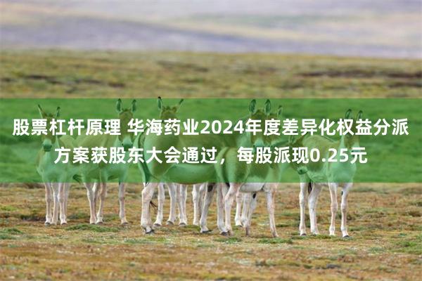 股票杠杆原理 华海药业2024年度差异化权益分派方案获股东大会通过，每股派现0.25元