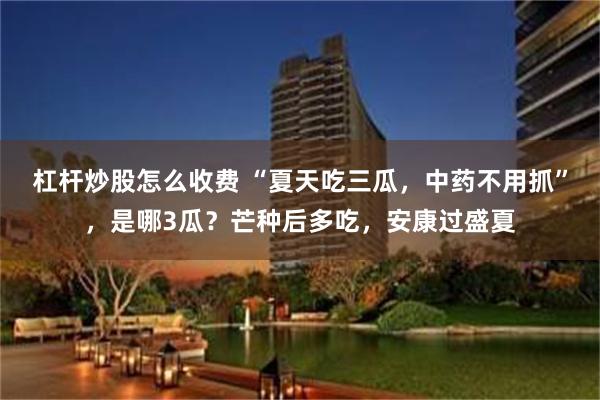 杠杆炒股怎么收费 “夏天吃三瓜，中药不用抓”，是哪3瓜？芒种后多吃，安康过盛夏