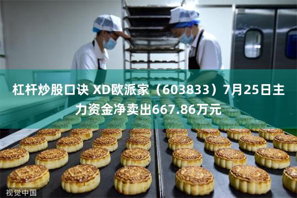 杠杆炒股口诀 XD欧派家（603833）7月25日主力资金净卖出667.86万元