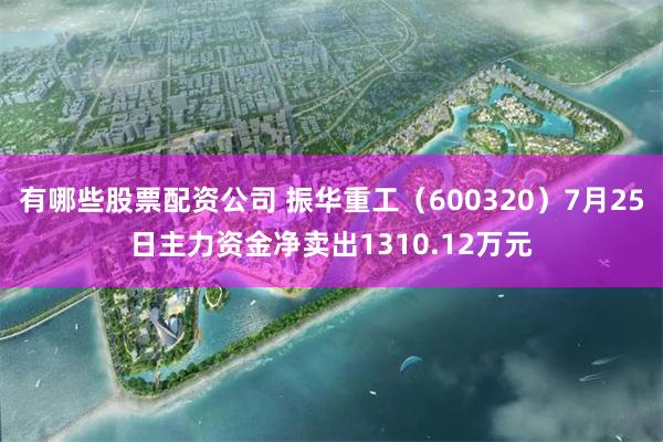 有哪些股票配资公司 振华重工（600320）7月25日主力资金净卖出1310.12万元