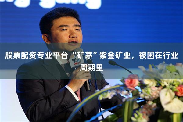 股票配资专业平台 “矿茅”紫金矿业，被困在行业周期里