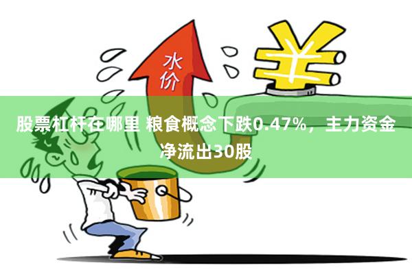 股票杠杆在哪里 粮食概念下跌0.47%，主力资金净流出30股