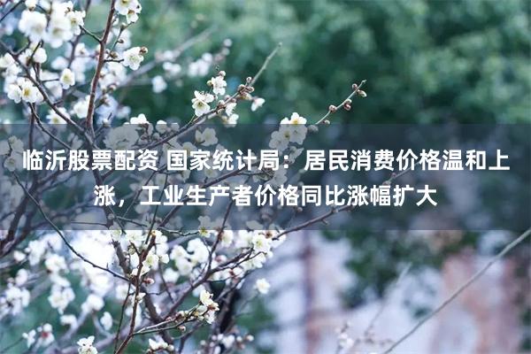临沂股票配资 国家统计局：居民消费价格温和上涨，工业生产者价格同比涨幅扩大