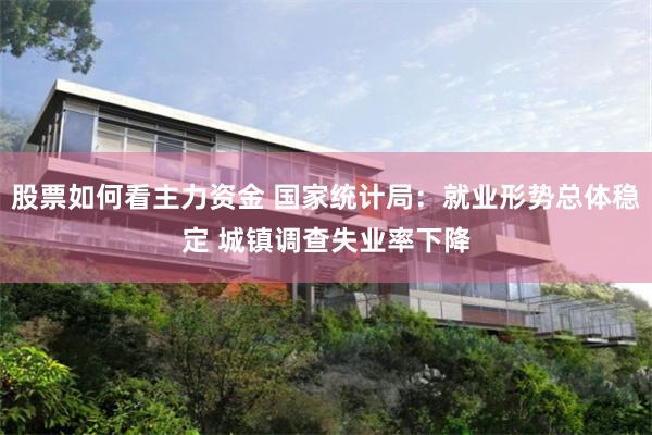 股票如何看主力资金 国家统计局：就业形势总体稳定 城镇调查失业率下降