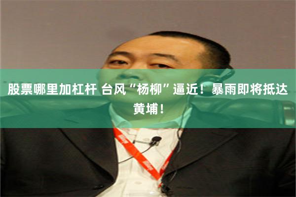 股票哪里加杠杆 台风“杨柳”逼近！暴雨即将抵达黄埔！