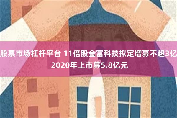 股票市场杠杆平台 11倍股金富科技拟定增募不超3亿 2020年上市募5.8亿元