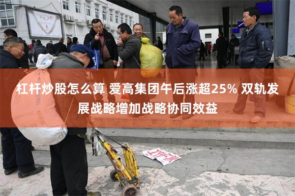 杠杆炒股怎么算 爱高集团午后涨超25% 双轨发展战略增加战略协同效益