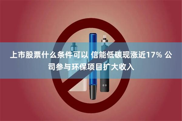 上市股票什么条件可以 信能低碳现涨近17% 公司参与环保项目扩大收入