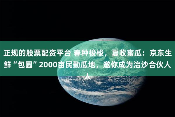 正规的股票配资平台 春种梭梭，夏收蜜瓜：京东生鲜“包圆”2000亩民勤瓜地，邀你成为治沙合伙人