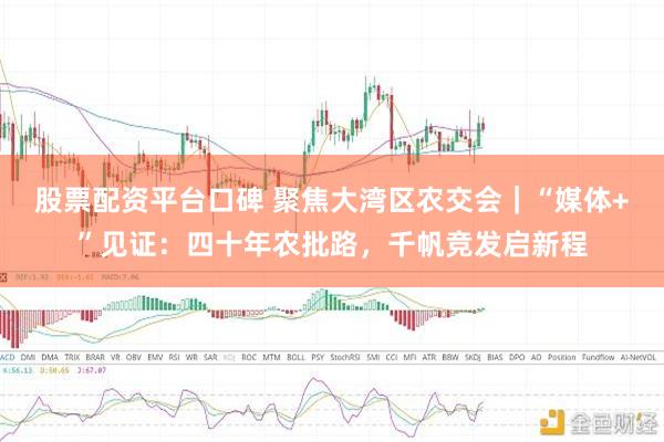 股票配资平台口碑 聚焦大湾区农交会｜“媒体+”见证：四十年农批路，千帆竞发启新程