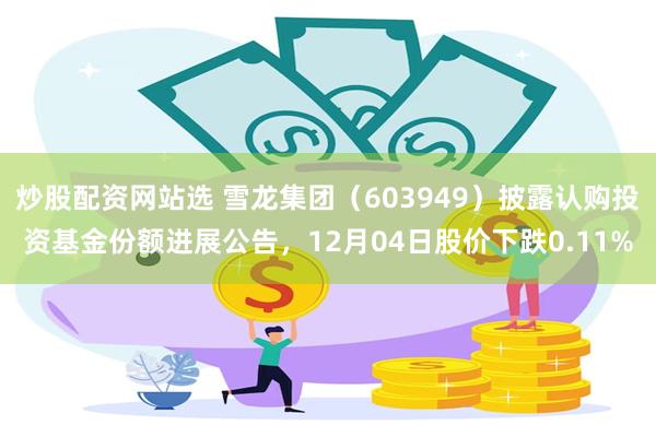 炒股配资网站选 雪龙集团（603949）披露认购投资基金份额进展公告，12月04日股价下跌0.11%