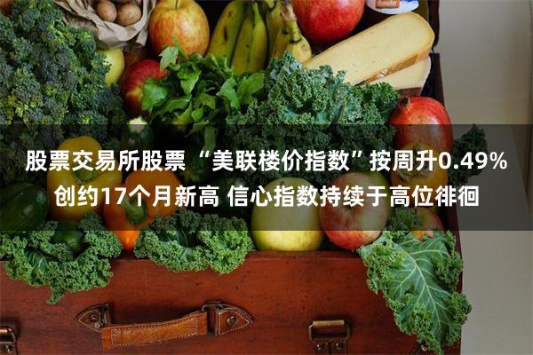 股票交易所股票 “美联楼价指数”按周升0.49%创约17个月新高 信心指数持续于高位徘徊