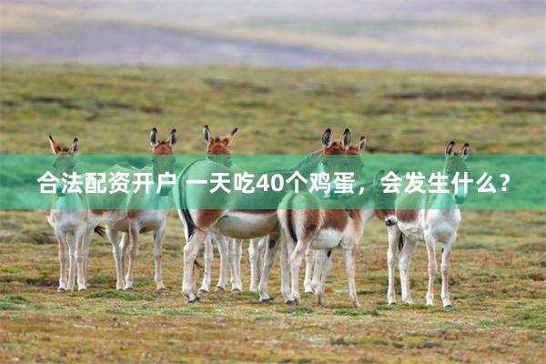 合法配资开户 一天吃40个鸡蛋，会发生什么？